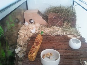 2011-09-04 11.59.47.jpg