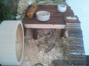 2011-09-04 11.59.17.jpg