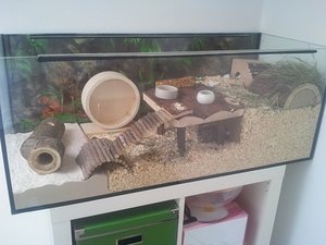 2011-09-04 11.58.33.jpg