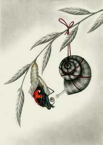 K800_Schneckchen 11.JPG