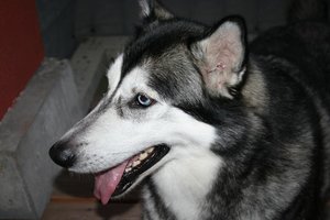 IMG_8178.JPG IMG_8178.JPG