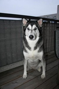 IMG_8172.JPG IMG_8172.JPG