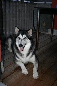 IMG_8176.JPG IMG_8176.JPG