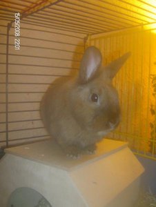 HPIM1920.jpg HPIM1920.jpg