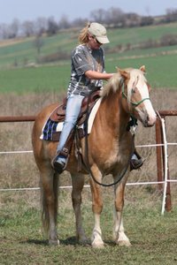 IMG_4835.jpg IMG_4835.jpg