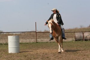 IMG_4925.jpg IMG_4925.jpg