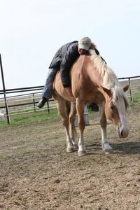 IMG_4947.jpg IMG_4947.jpg