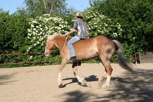 IMG_6193.jpg IMG_6193.jpg