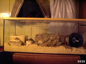 hamsterkÃ¤fig2 001.jpg
