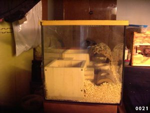 hamsterkÃ¤fig2 002.jpg