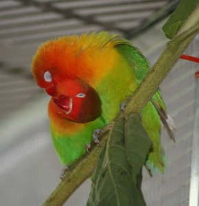 WELLIAGA4_9_2007 134.jpg