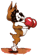 a-boxer1.gif