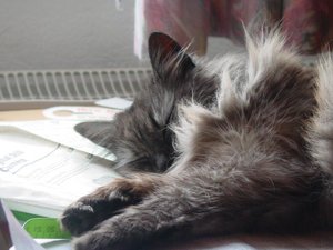 MINKA und Kinder 006.jpg