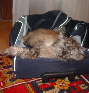 MINKA und Kinder 062.jpg