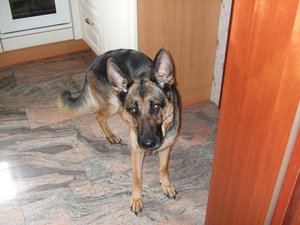 cam...geheime bilder, die ich schon ganz vergessen habe 005.jpg