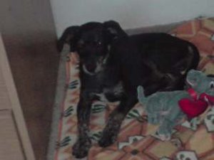 P290608_21.27 (1).jpg