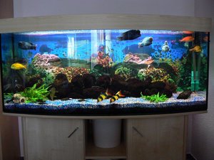 P1000670.jpg P1000670.jpg