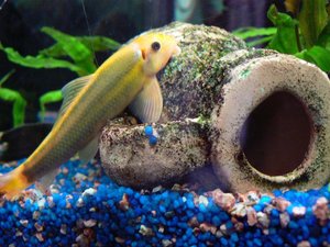 P1000668.jpg P1000668.jpg