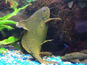 P1000673.jpg P1000673.jpg