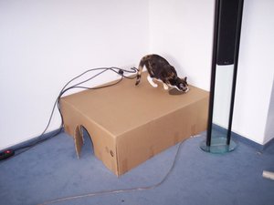 Carson_Airbeast 005.jpg