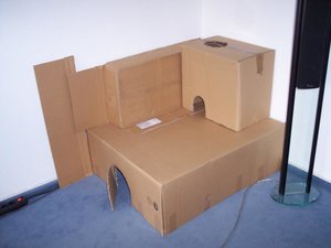 Carson_Airbeast 003.jpg