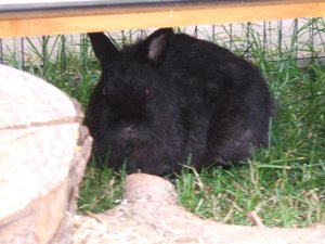 Jeremys 5. Geburtstag 101.jpg