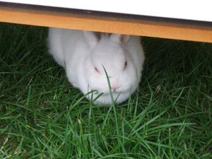 Jeremys 5. Geburtstag 100.jpg