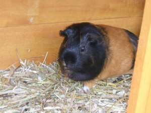 Jeremys 5. Geburtstag 104.jpg