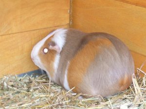 Jeremys 5. Geburtstag 105.jpg