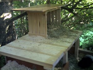 HÃ¼ttchen mit ObergeschoÃŸ_600x450.jpg