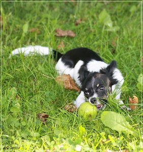 20.08 (10).JPG 20.08 (10).JPG