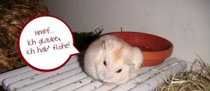 Sanni hat was zu sagen ^^.jpg Sanni hat was zu sagen ^^.jpg