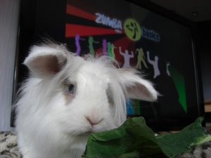 Sixpack-Training.JPG Sixpack-Training.JPG