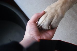 Spaiky mein Freund und Helfer.jpg