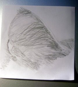 PICT0818ohr.jpg PICT0818ohr.jpg