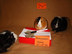 lunasautogrammstunde.jpg lunasautogrammstunde.jpg