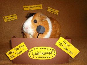 luna politikerin.jpg luna politikerin.jpg