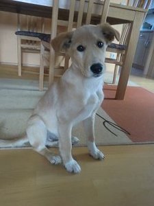 k-CIMG9821.JPG k-CIMG9821.JPG