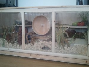 Foto0378a.jpg Foto0378a.jpg