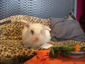 Selina Sellerie.JPG Selina Sellerie.JPG