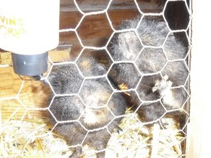 CIMG0093.JPG CIMG0093.JPG