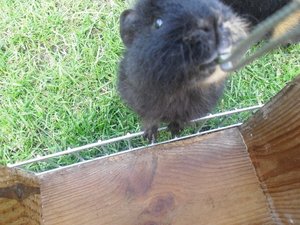 CIMG0648.JPG CIMG0648.JPG