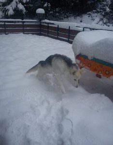 DSC01360.jpg DSC01360.jpg