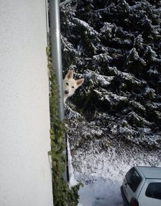 DSC01316.jpg DSC01316.jpg