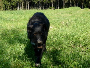 8265054yis.jpg 8265054yis.jpg