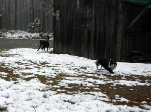 8265055fmf.jpg 8265055fmf.jpg