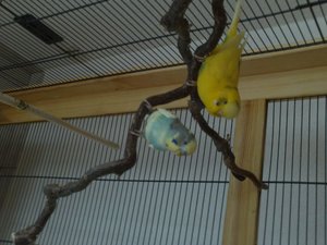 FILE0159.JPG FILE0159.JPG