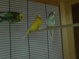 FILE0160.JPG FILE0160.JPG