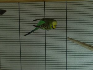 FILE0156.JPG FILE0156.JPG