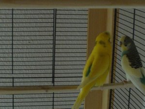 FILE0162.JPG FILE0162.JPG